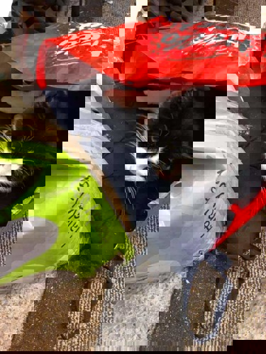 black-and-white cat lying inside red carrier bag