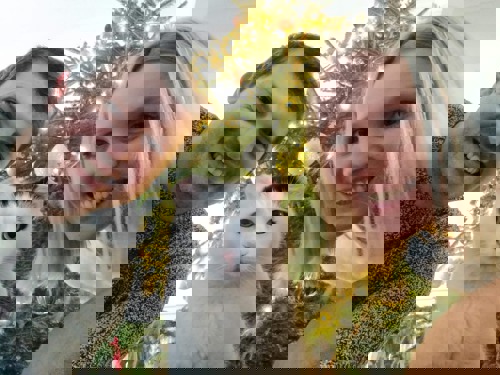 man with short brown hair and grey jumper and woman with short blonde hair with black-and-white cat missing its ears sat between them and a Christmas tree in the background