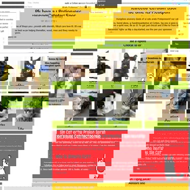 Simon's Cat Cats Protection sponsorship page