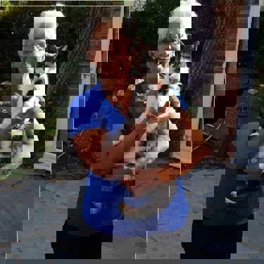 Cats Protection volunteer holding a cat