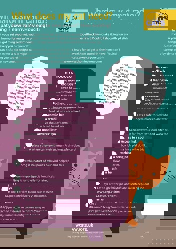 Preparing for cat checklist graphic