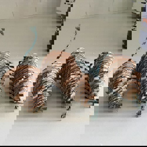 Enrichment toys for cats