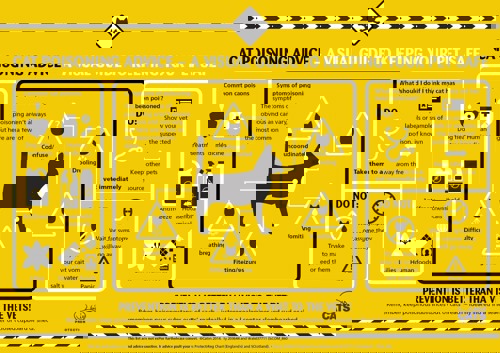 Cats Protection keeping your cat safe from poison graphic