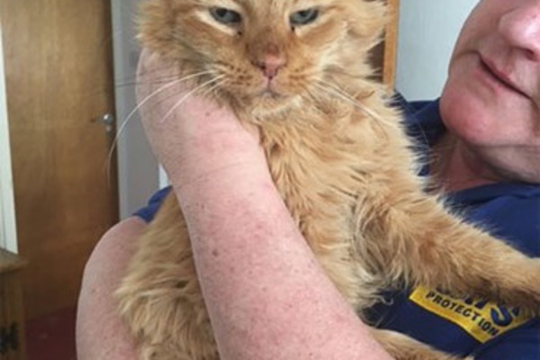 Dougal proves age is just a number