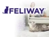728 X 550 FELIWAY IMAGE.jpg