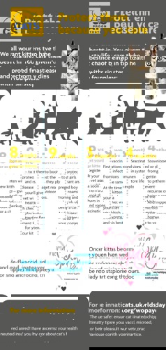 protect cats infographic